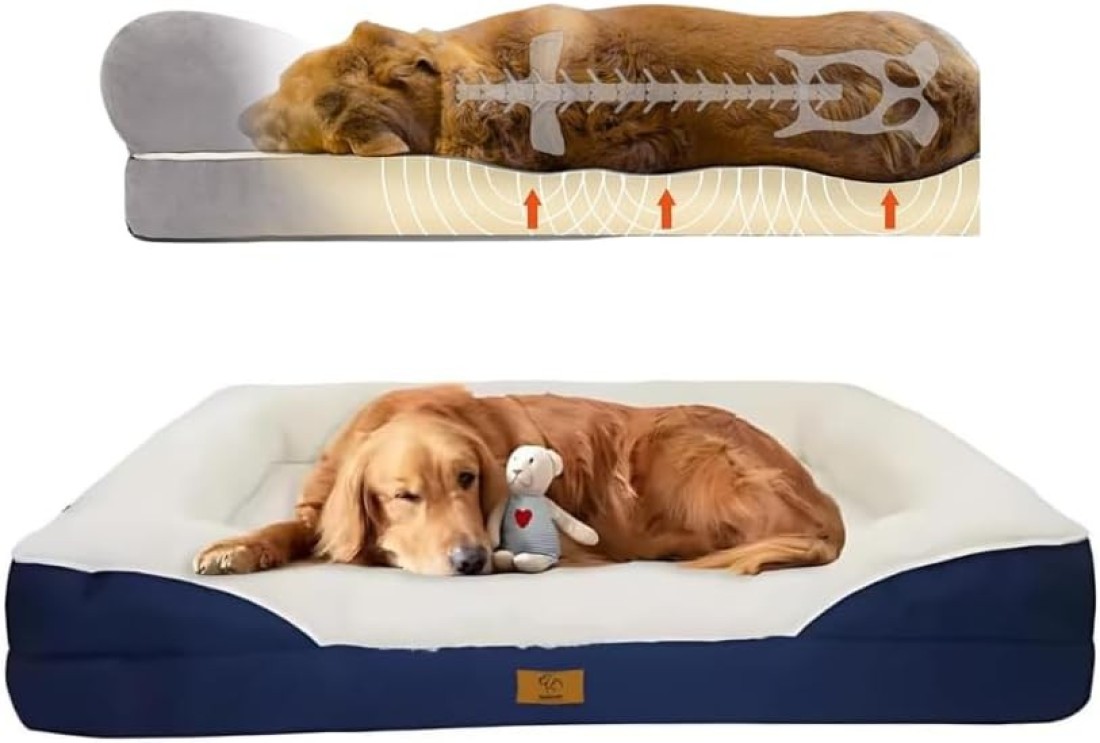 Dugyluv Dog Bed, Orthopedic Sofa Dog bed With Memory Foam, Removable Cover, Waterproof Lining and Nonskid Bottom,Pet Bed for Dogs (Large)