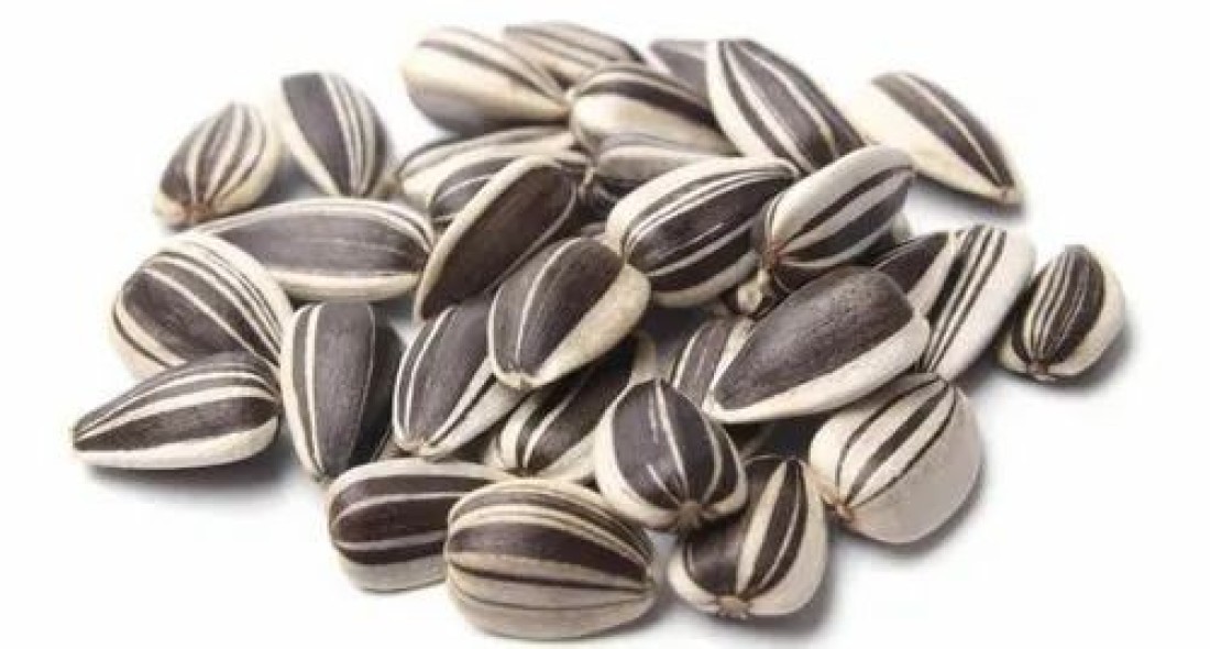Sunflower Seed Small Striped 500g (Bird Food)