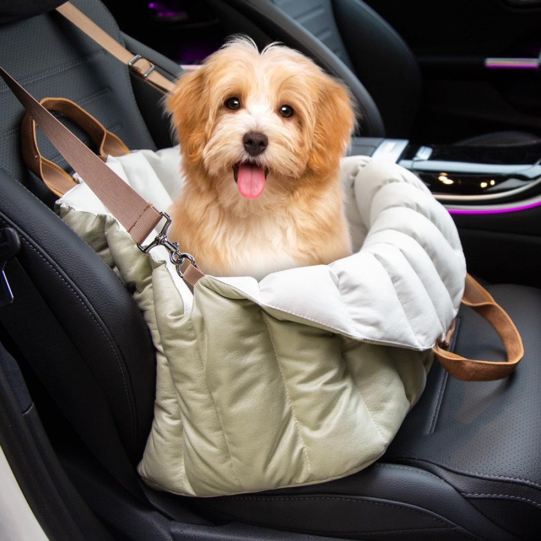 ClevaHome Small Dog Car Seat Travel Carrier Pet Bed NonSlip Booster Seat for Dogs up to 10lbs Fashionable Pet Carrier Bag for Indoor and Outdoor