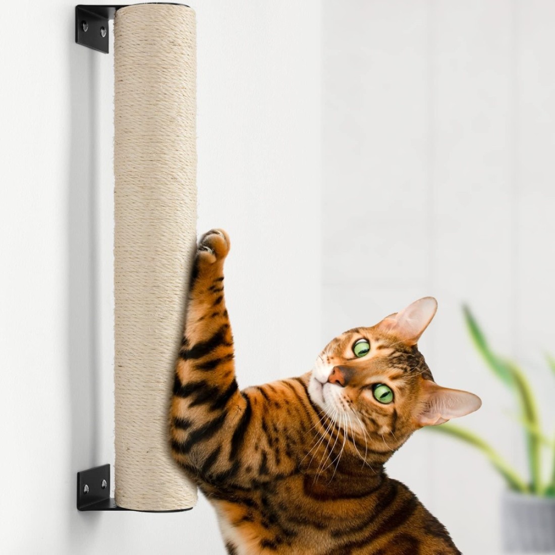 BEBOBLY Wall Mounted Cat Scratching Post for Indoor Cats Kitten Wall Shelves Climbing Furniture Sisal Rope Cat Claw Scratcher Tree Solid Wooden Walkway for Cage Mounted Climbing Relaxing