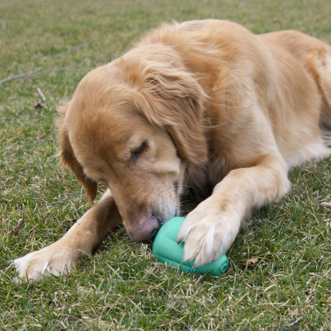 Chew King Premium Treat Dog Toy XL Extremely Durable Natural Rubber Toy