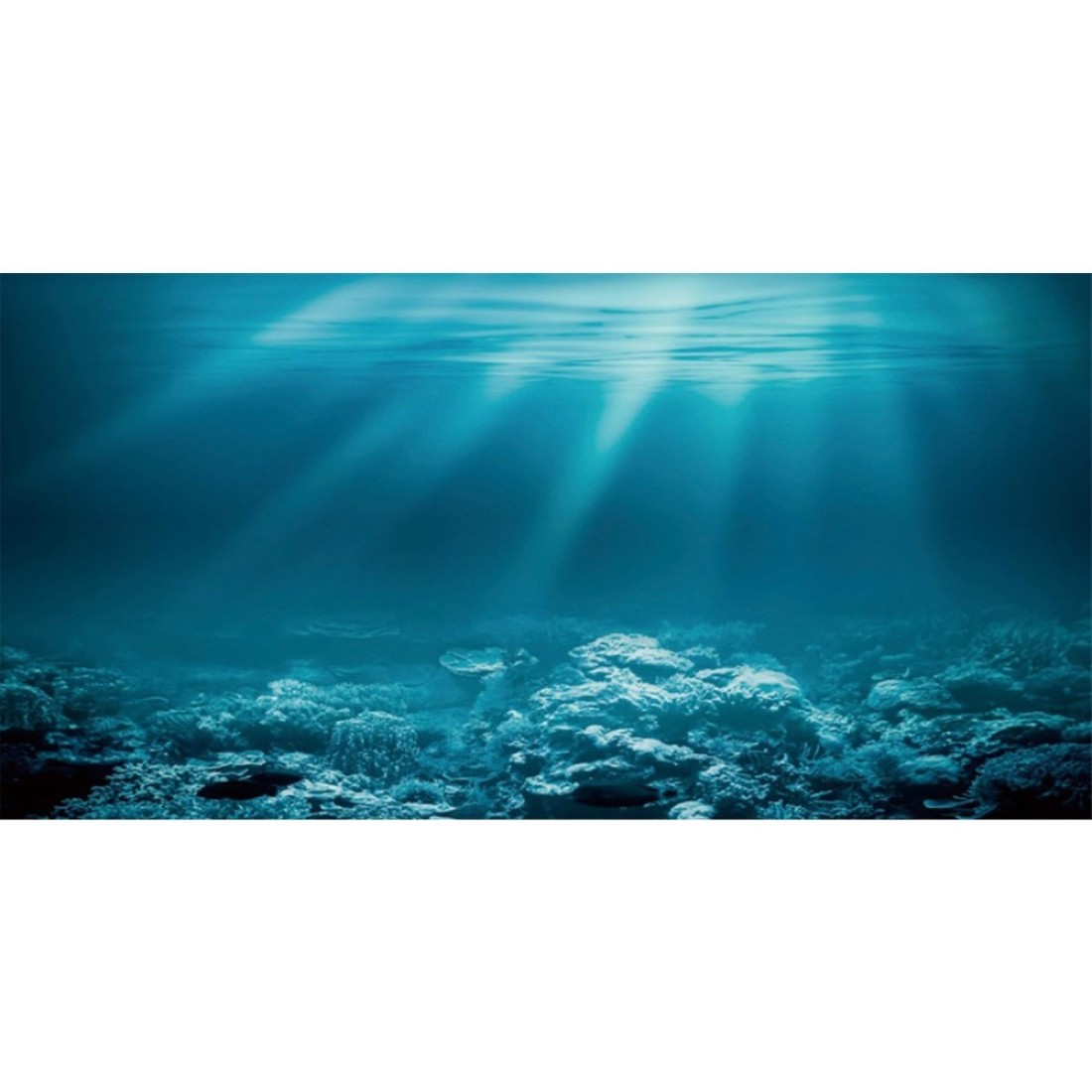 AWERT 72x24 inches Undersea Theme Aquarium Background Sunshine Underwater World Fish Tank Background Durable Polyester Background