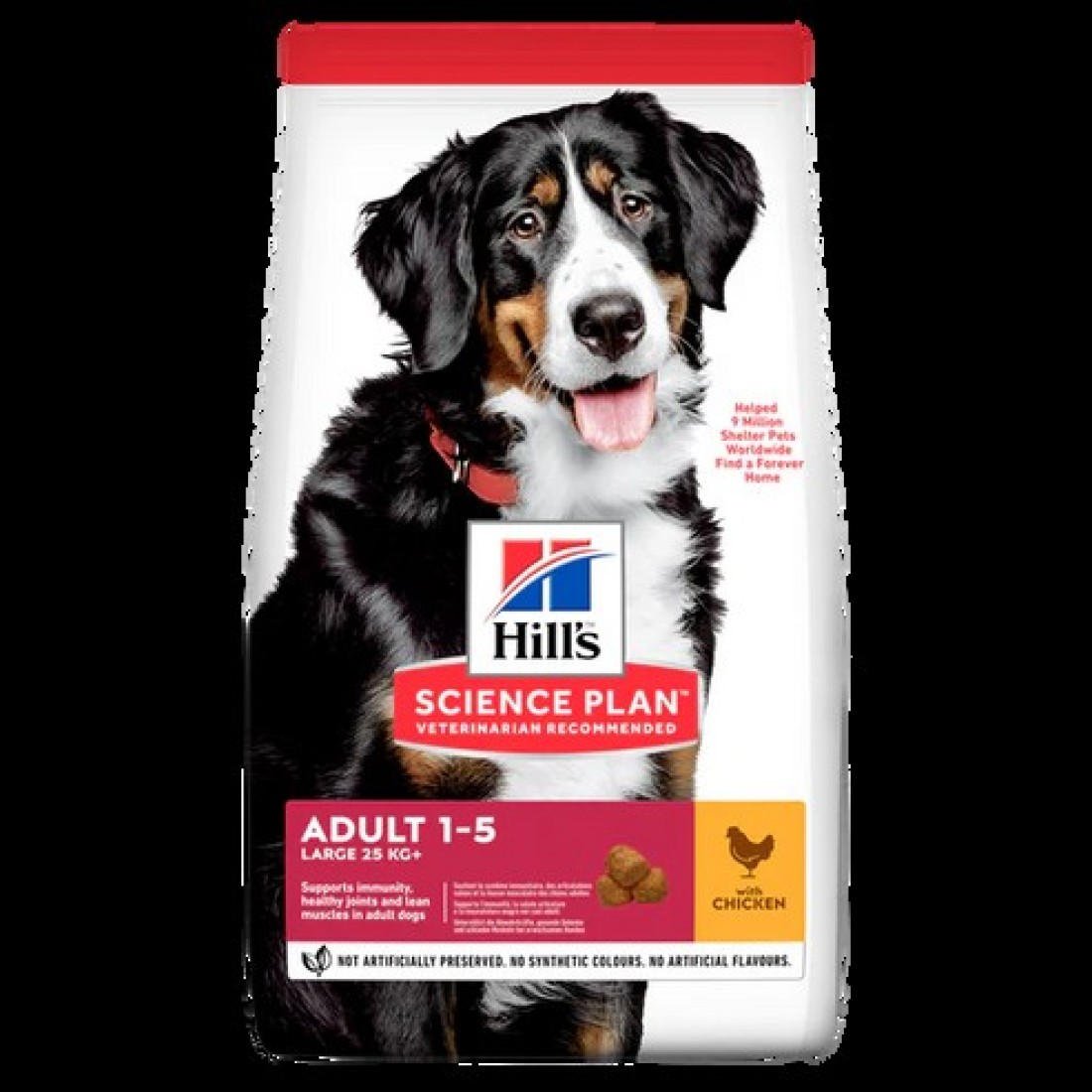 Hills Science Plan Large Breed Adult Dogs Food Dry With Chicken-2.5Kg