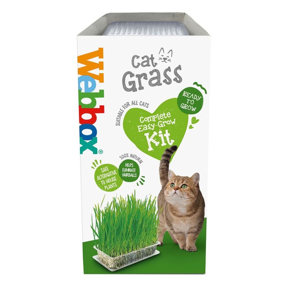 Webbox Cat Grass Complete Easy Grow Kit 120g
