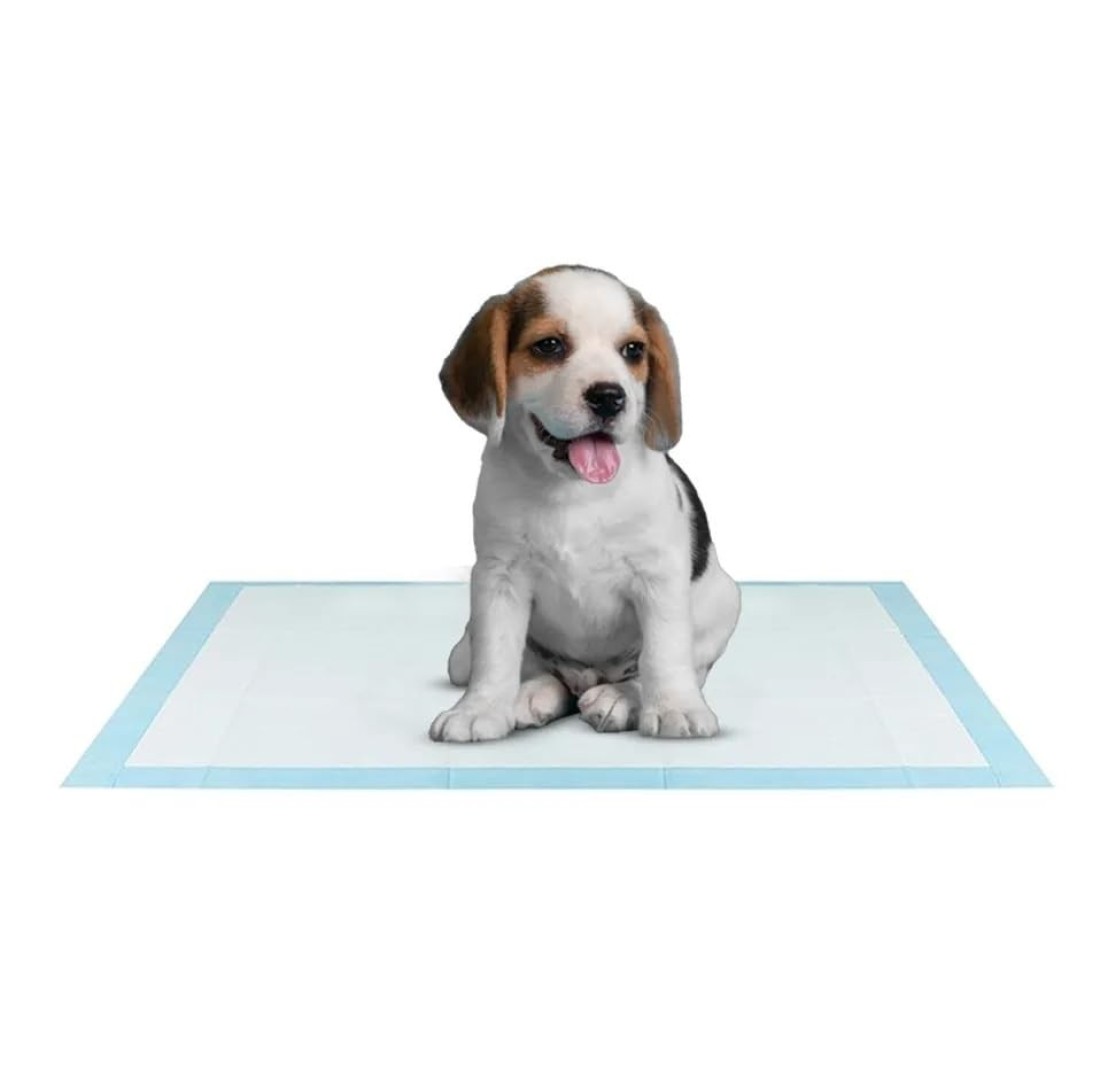 Ultra-Absorbent Blue Pet Training Pads for Dogs, Puppy Trainer Pads, Toilet Pee Wee Dog Pet Cat Mat, Small Size pack of 50