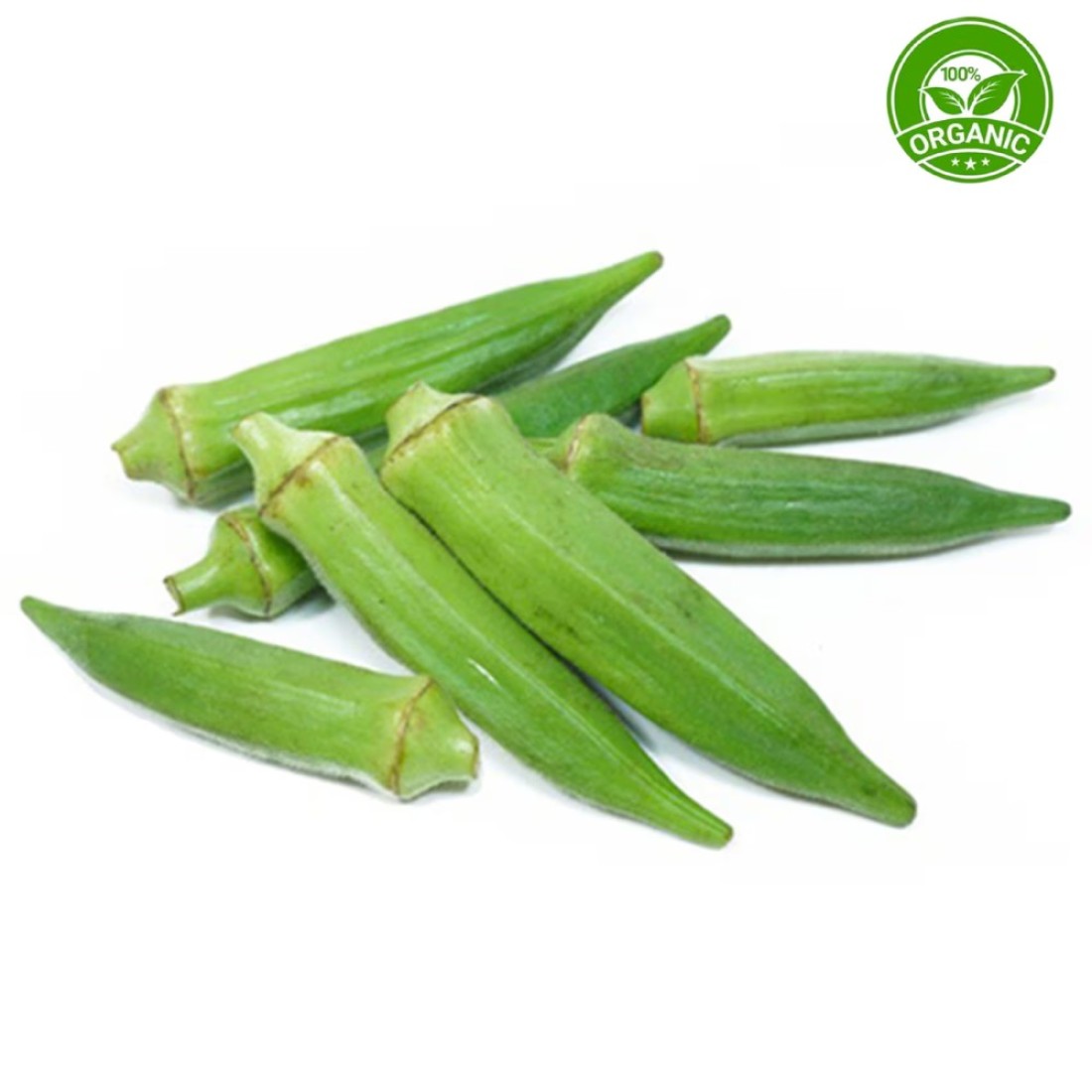 ORG OKRA EBF 250G PP