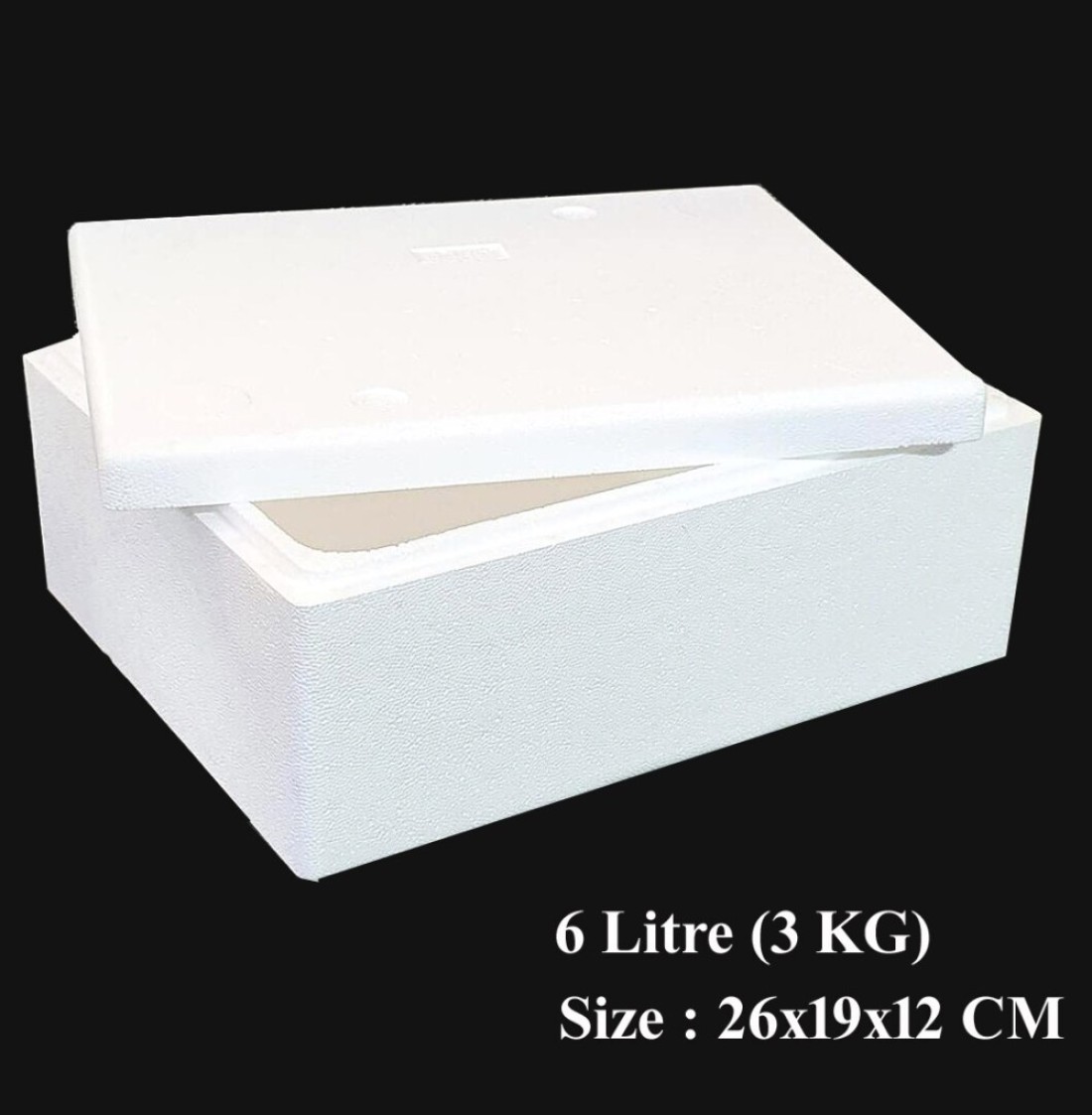 ALSAQER-Thermocoal Ice Box-(6Litre-3KG)Thermocoal Cool Box-Thermo Keeper Container, Expanded Polystyrene Cooler, Fishing Ice Box