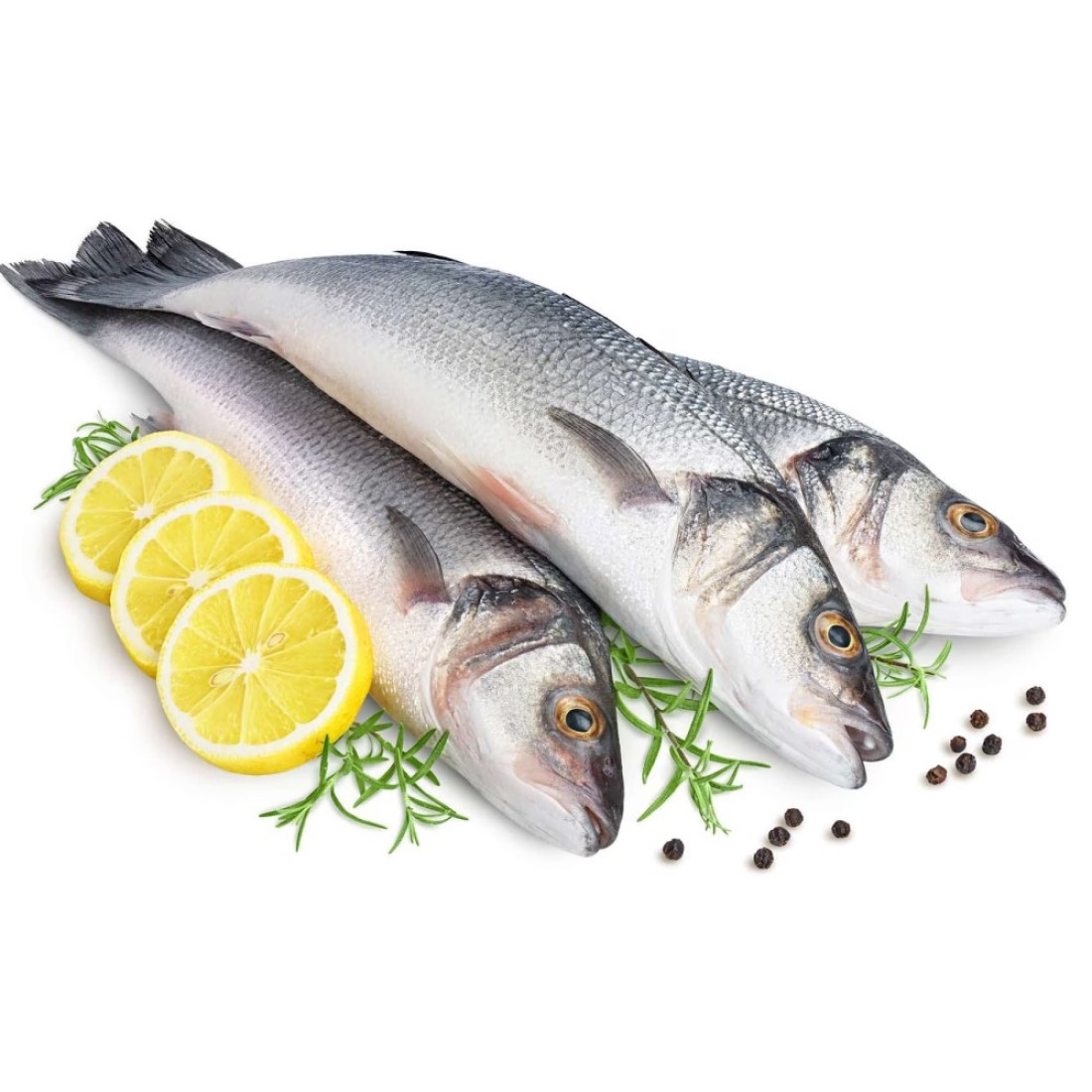 Fresh Sea Bass 1.0-1.5Kg