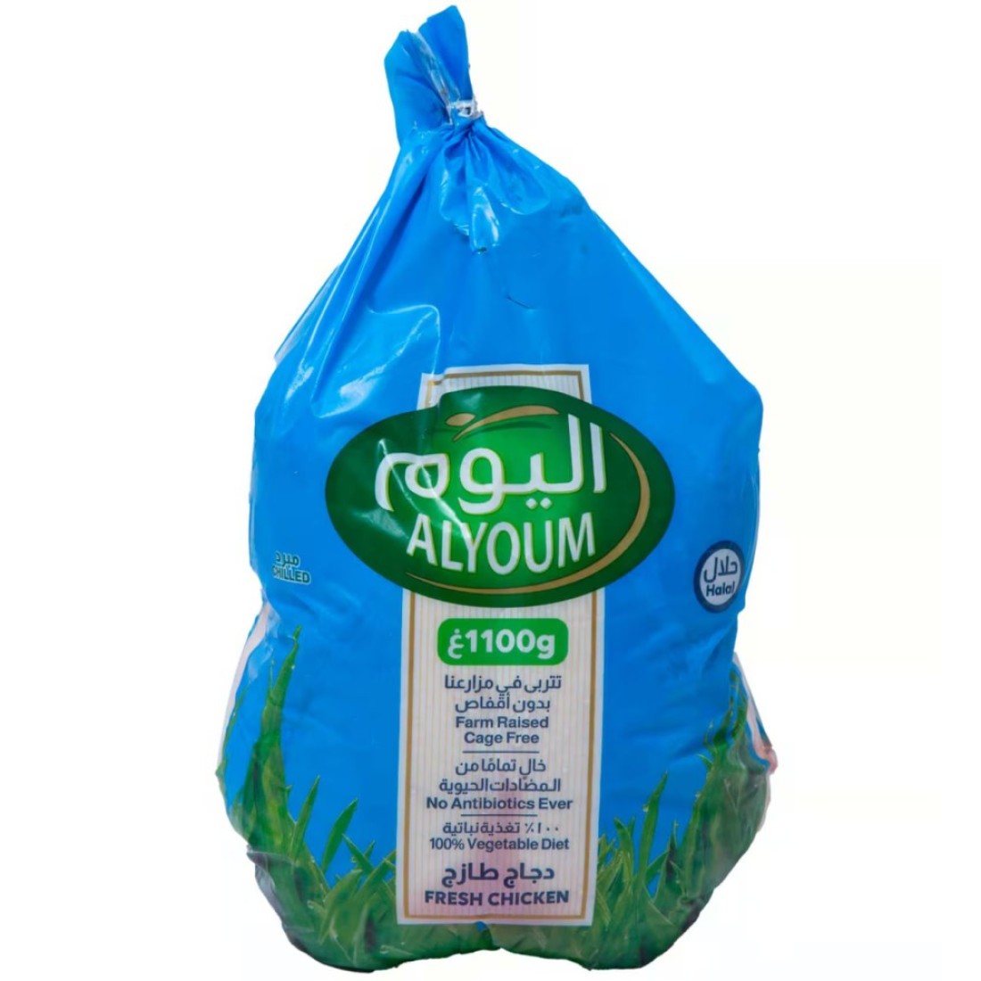 اليوم دجاج طازج 1.1 كغ