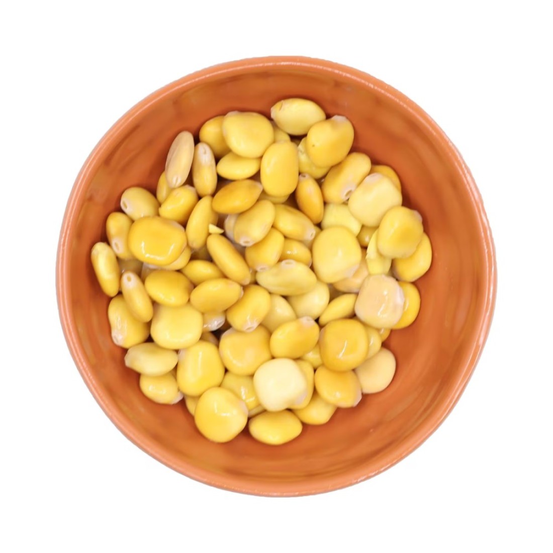 ترمس أبيض
