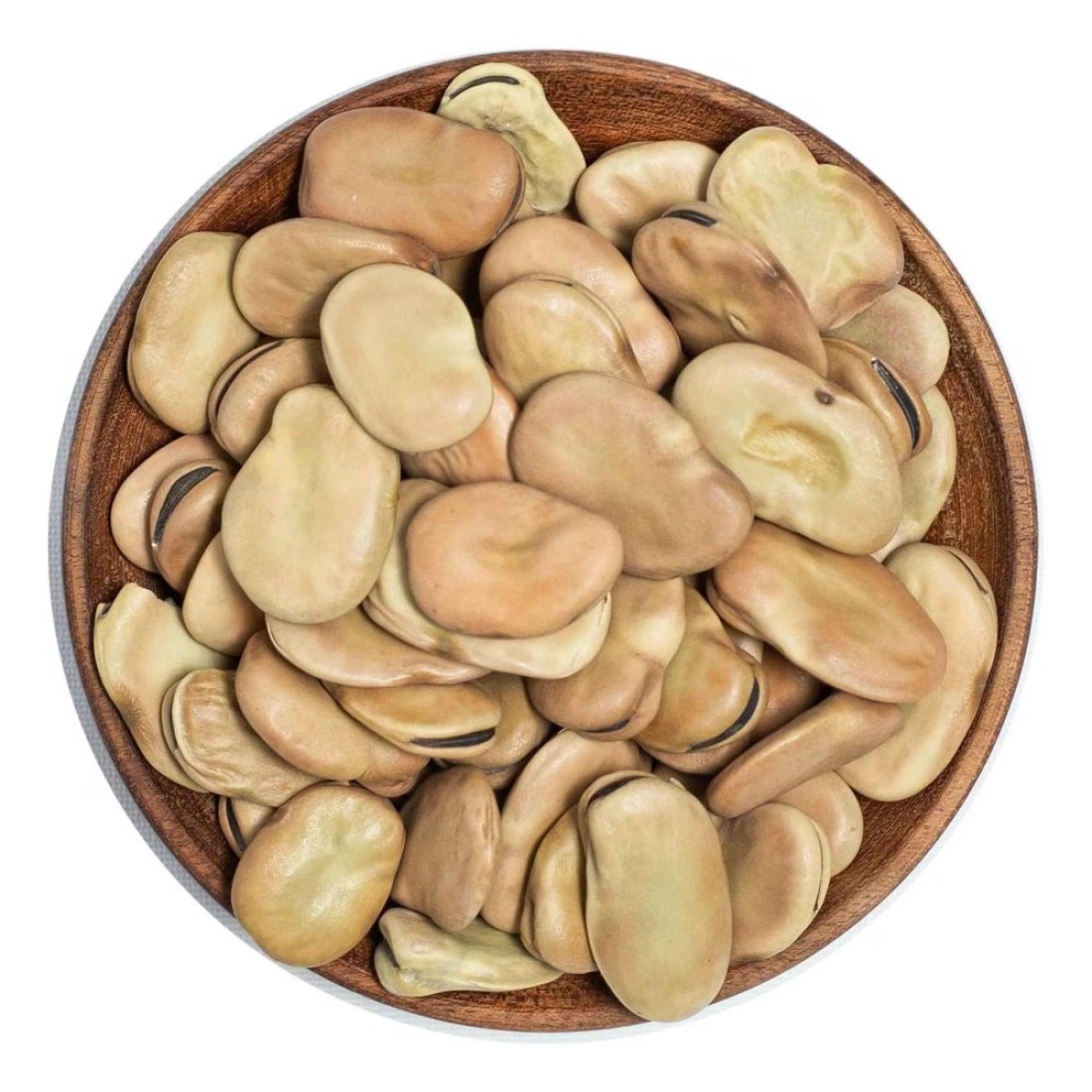 Los Pinos Jumbo Broad Beans