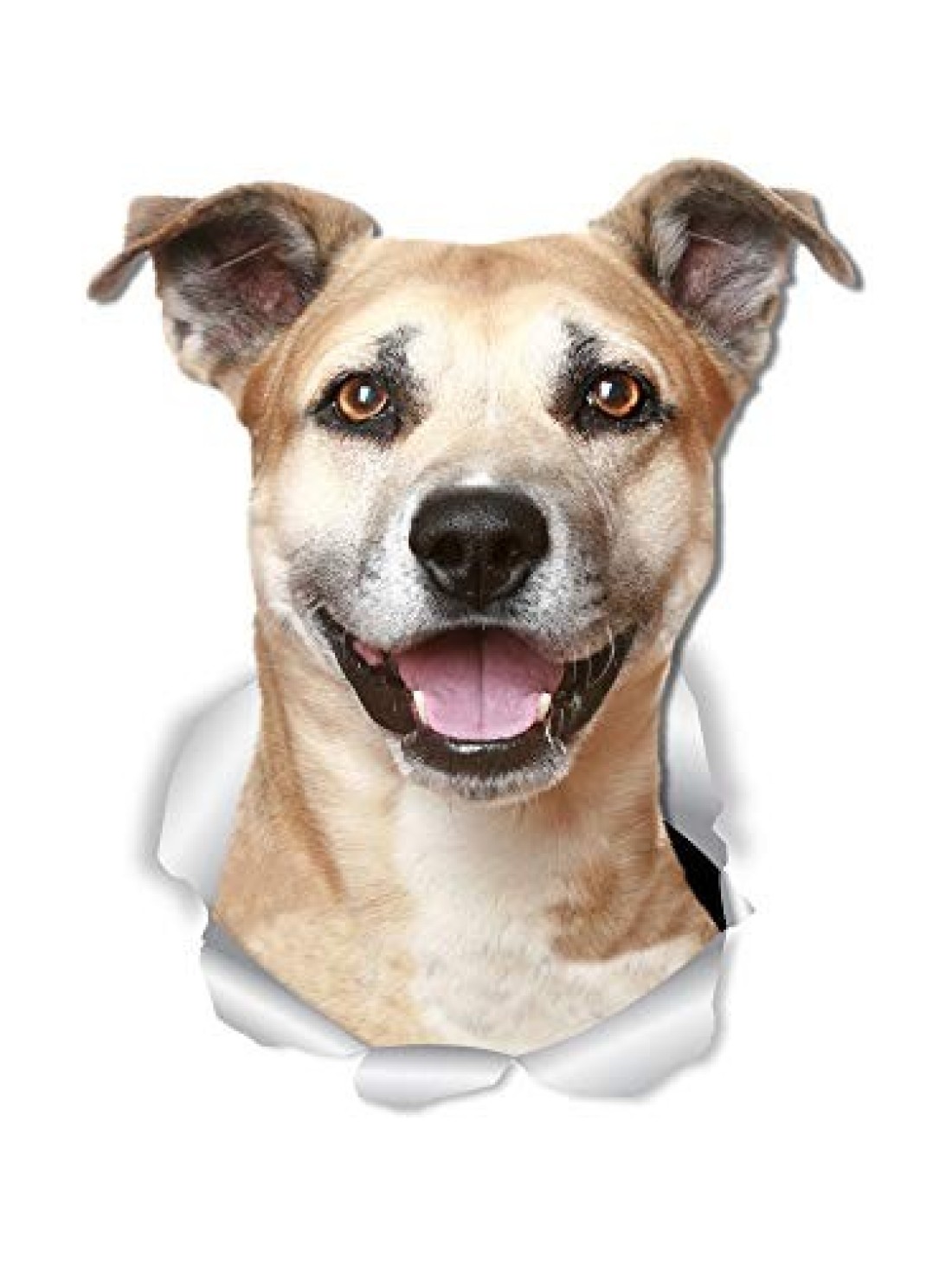 Winston &amp; Bear Smiling Staffie Dog Wall Decals - 2 Pack - Staffordshire Terrier 3D Sticker Decals for Walls, Cars, Toilet and More - Retail Packaged Staffie Gifts