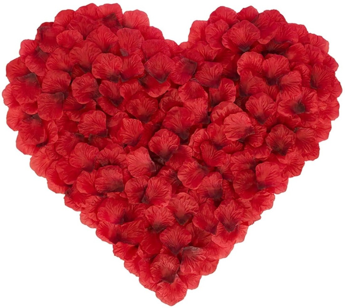 Party Time 1000pcs Artificial Rose Petals Red Rose Petals for Romantic Decorations Special Night, Wedding, Anniversary Valentines Day Decorations