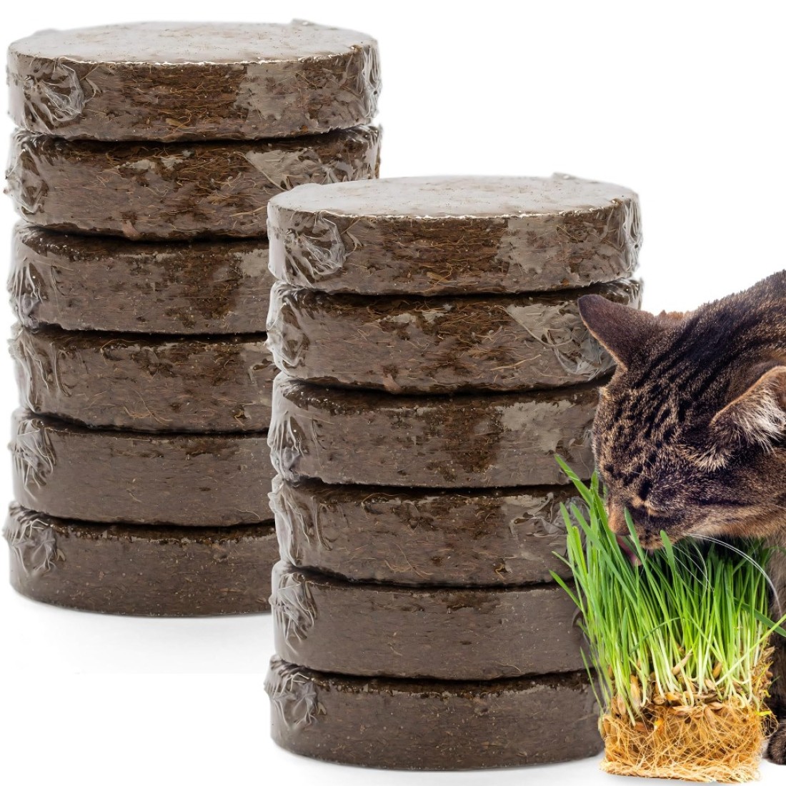 The Cat Ladies Potting Soil for Indoor/Outdoor Plants, Expands to Fit 3 Inch and 4 Inch Pots - 12 Pack