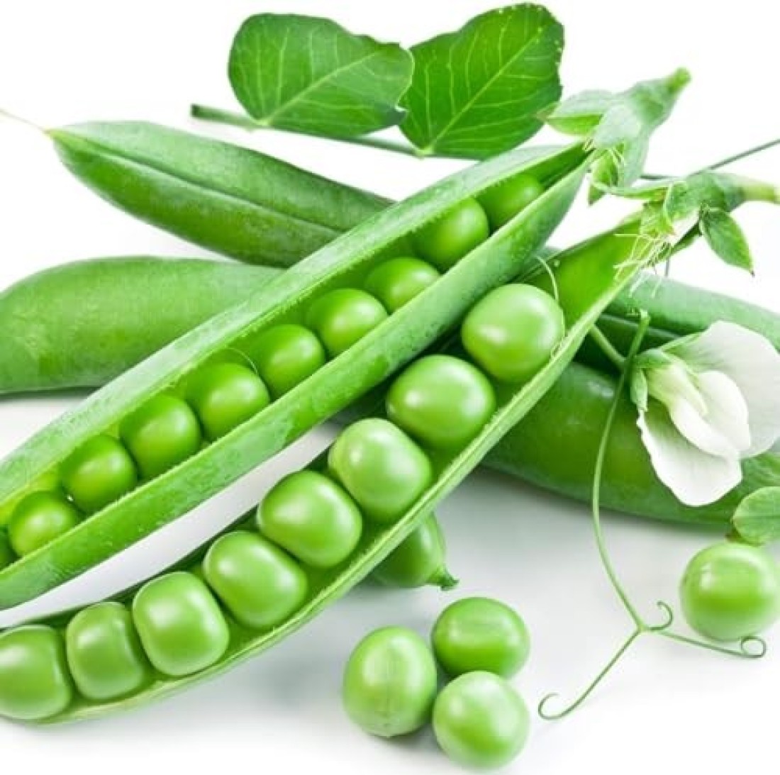 Vsell24 Garden Pea Seeds, 3 Packs of 10g Each, Easy Growing NON-GMO Home Garden Seeds With 98% Cleaness, 95% Purity, 85% Germination Rate