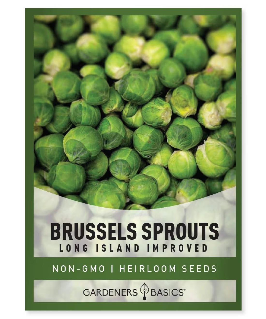 Gardeners Basics, Brussels Sprouts Seeds for Planting - Long Island Improved Heirloom, Non-GMO Vegetable Variety- 800 mg Approx 225 Seeds Great for Summer, Fall, and Winter Gardens