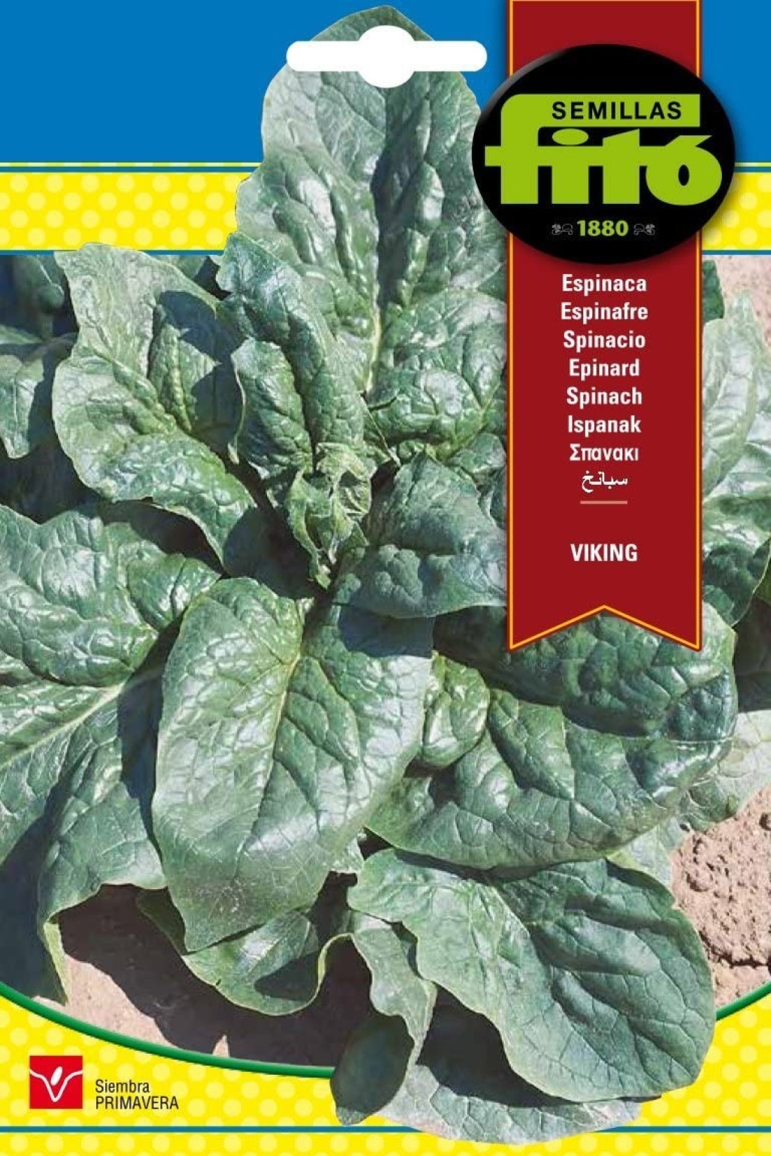 Fito Spinach Viking-115