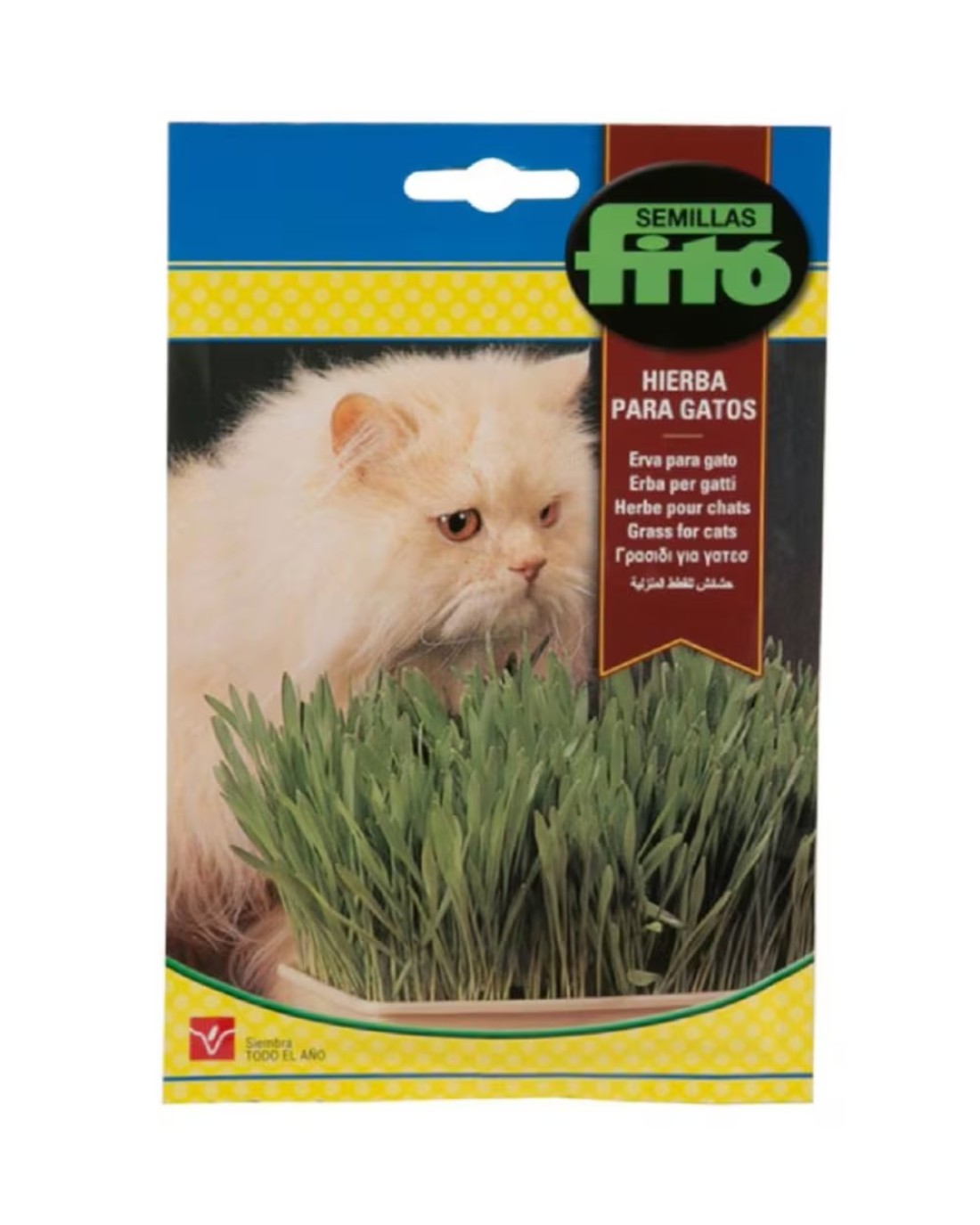 Fito Cat Grass