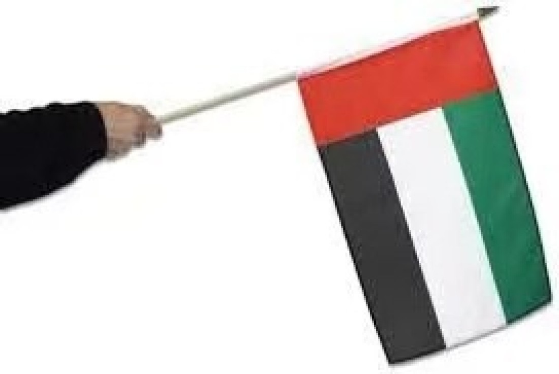 UAE National Flag, 1 x 2 meters