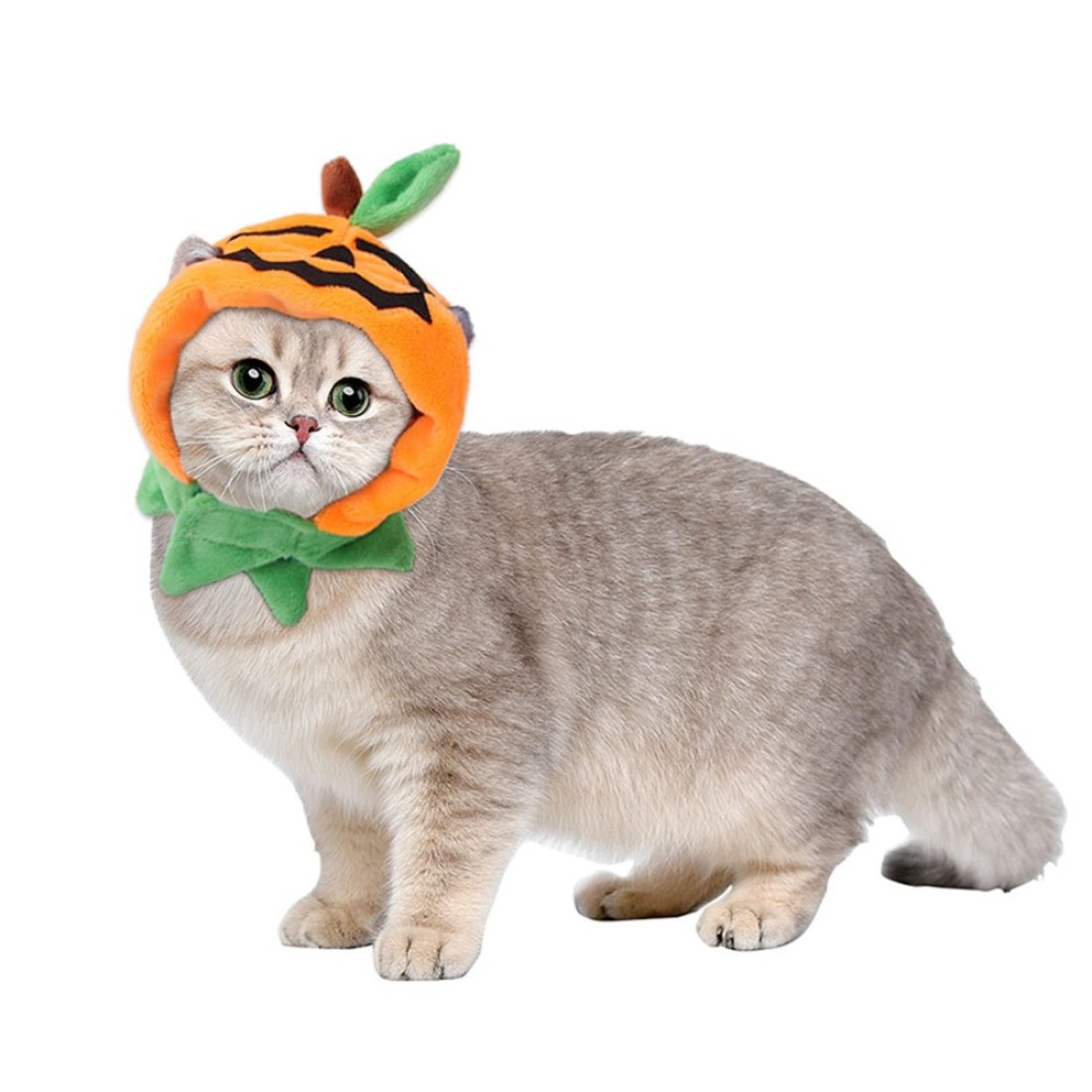CZolden Halloween Cat Costumes Pumpkin Cat Hat Pet Cosplay Costume Cap for Halloween Kitty Dress Up Accessories