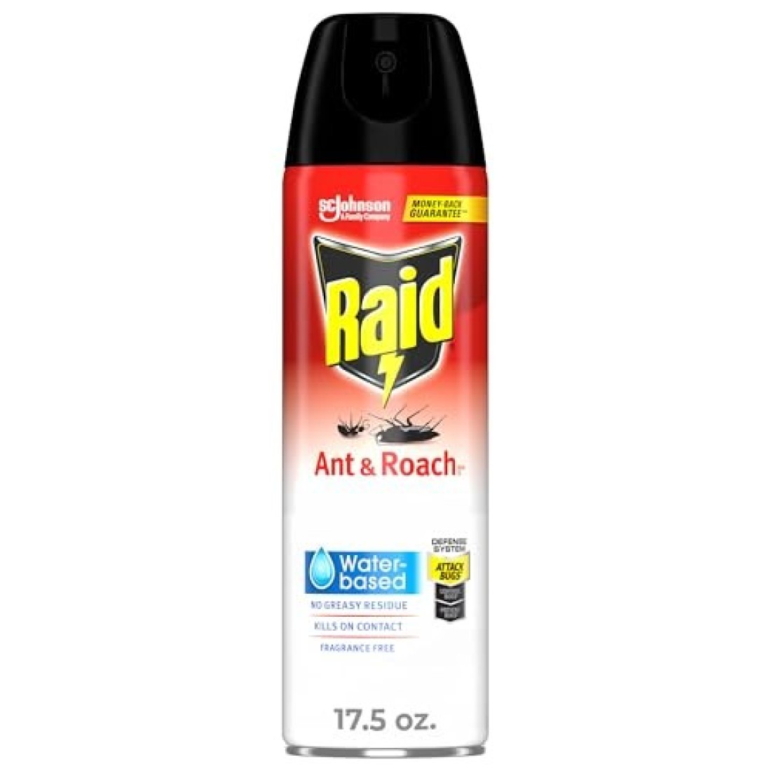 Raid Ant &amp; Roach Aerosol Bug Spray, Water-Based Formula Insecticide With No Greasy Residue, Kills On Contact, 17.5 oz