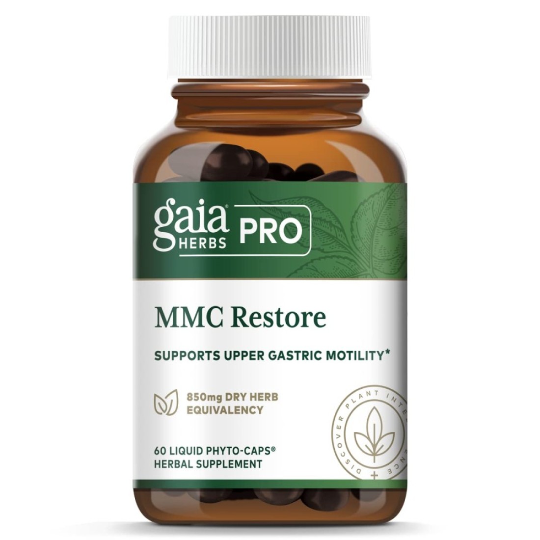 Gaia PRO MMC Restore