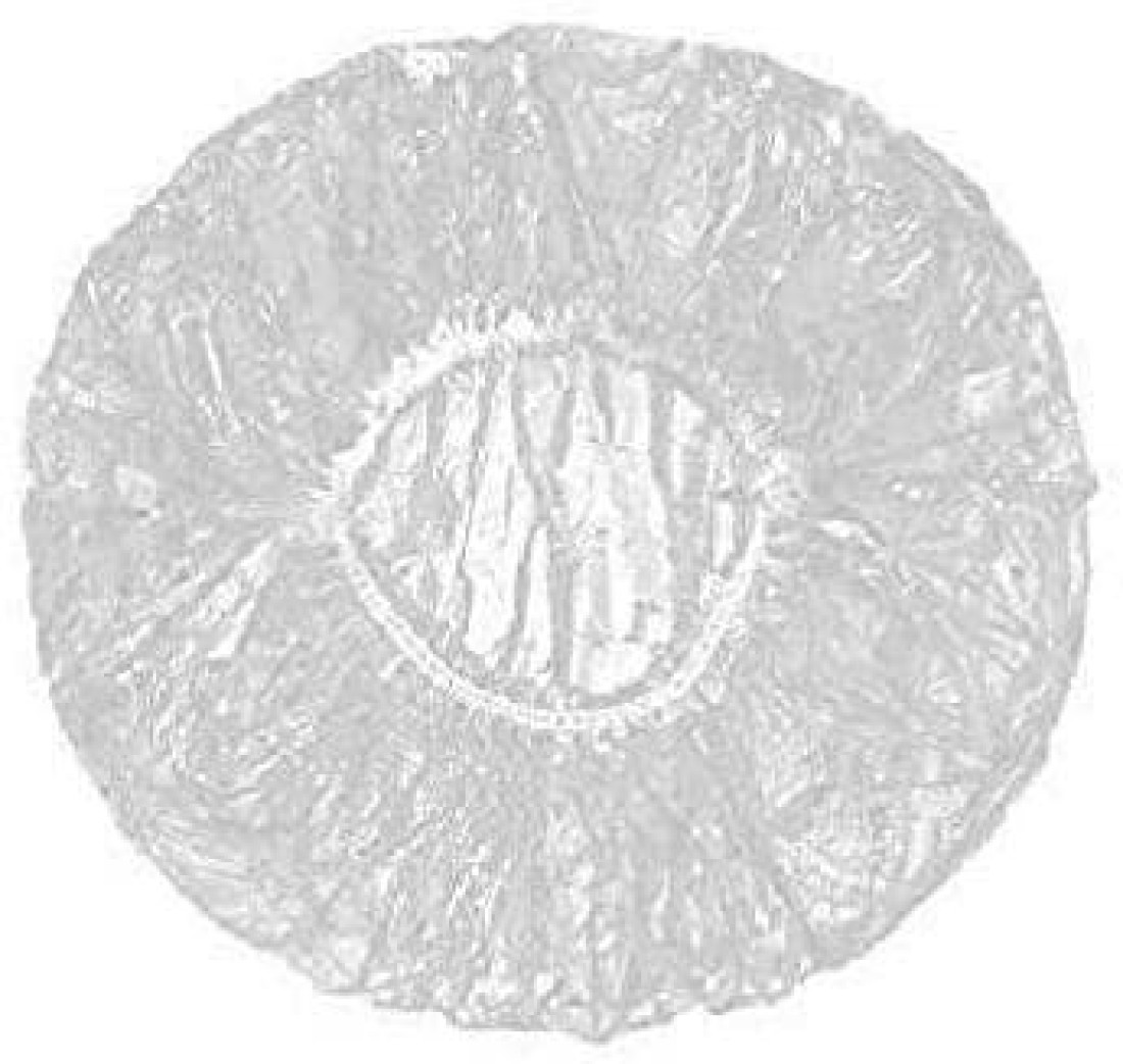 Generic-CK763 Disposable Waterproof Shower Cap- 100pcs