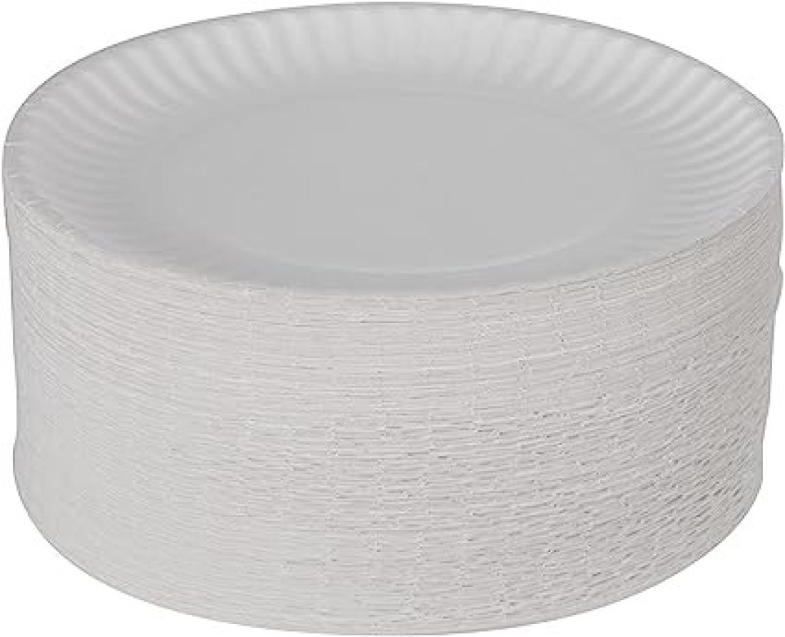 Vsell24 100Pack 9 Inch Disposable Round Foam Plates For Tableware Birthday Parties Office Home Events Camping