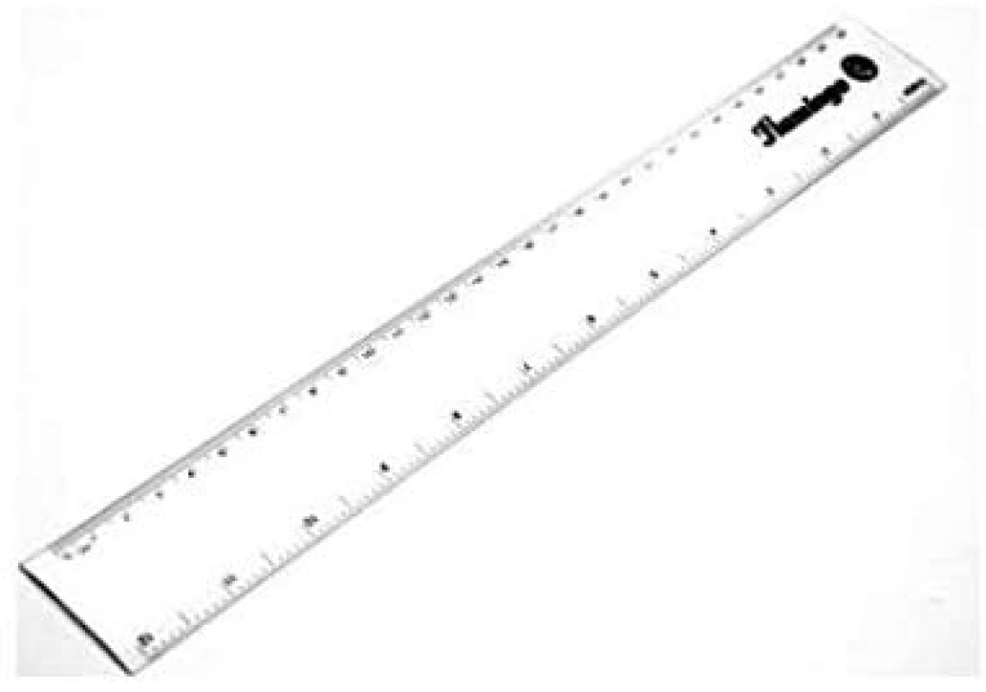 Generic Flamingo 30cm Ruler/Scale