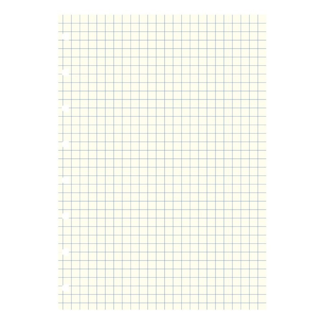 Filofax Notebooks A5 Quad Journal Refill Movable 8 14 x 5 1316 inches 32 Cream Sheets Fits Filofax Refillable A5 B152905U