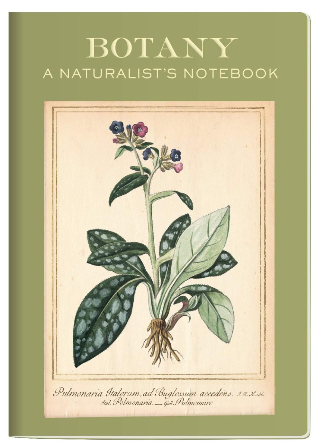 Botany Passport Sized Mini Notebook