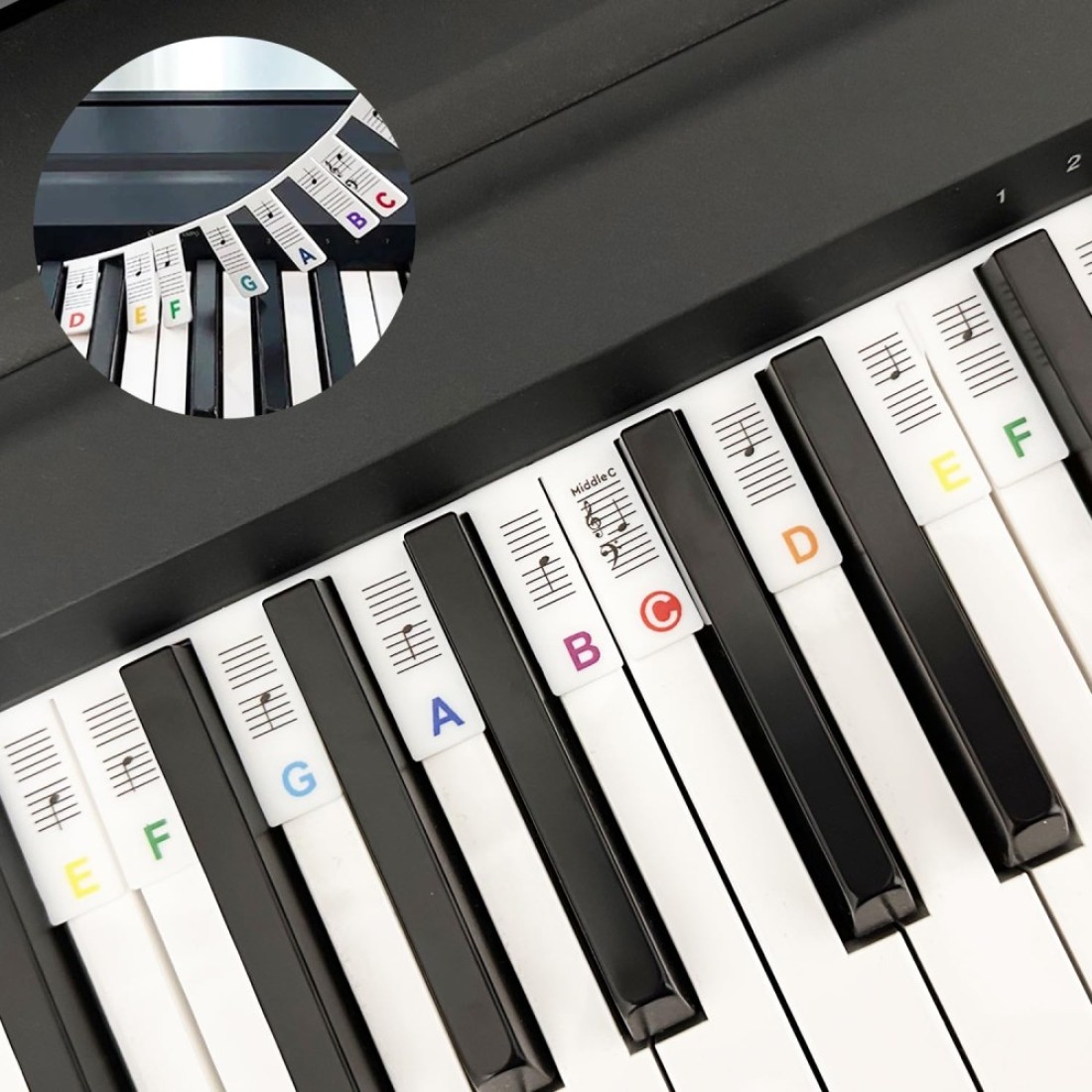Litave Removable Piano Keyboard Note Labels, Colorful Silicone 88 Key Labels for Beginners, Reusable Piano Notes Guide with Box - No Stickers Required