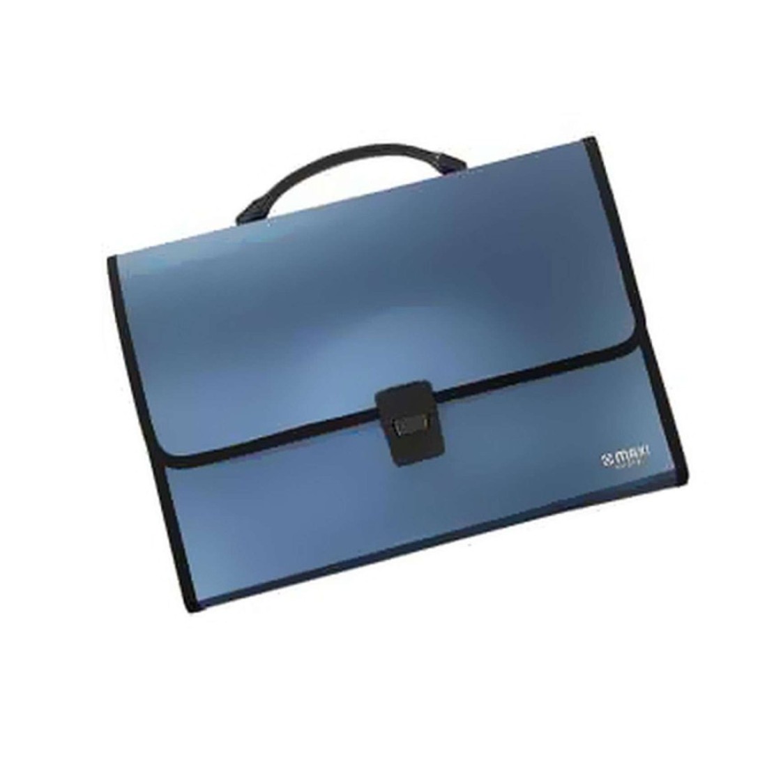 Maxi 13 Grids Document Case with Handle Assorted Colours
