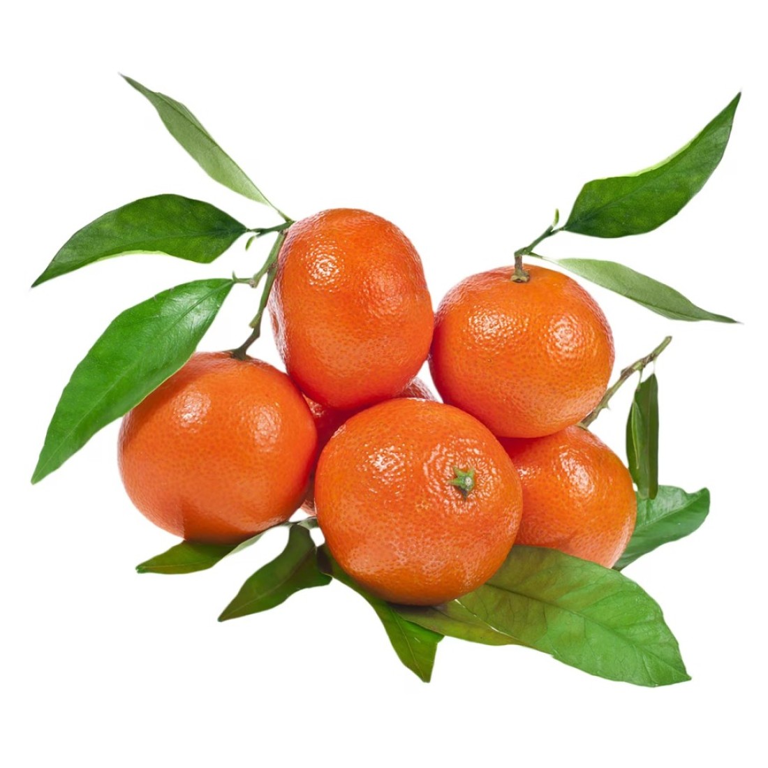 Clementine with Leaves