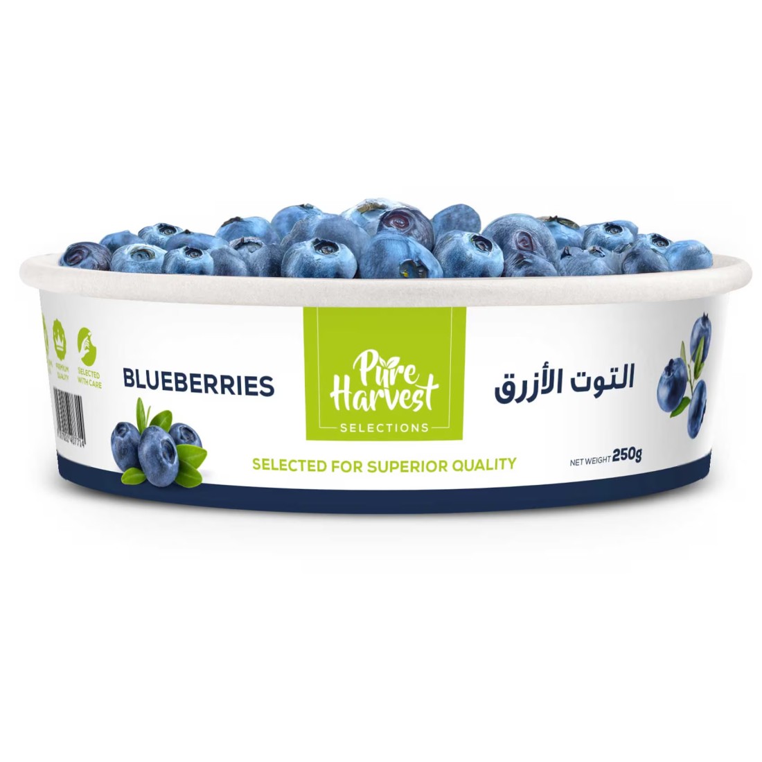 Blueberries Premium 250g