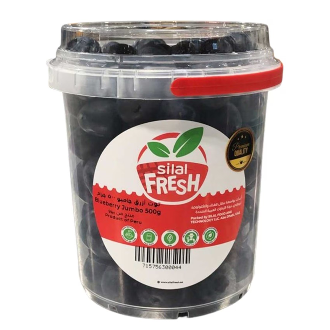 Blueberries 500g