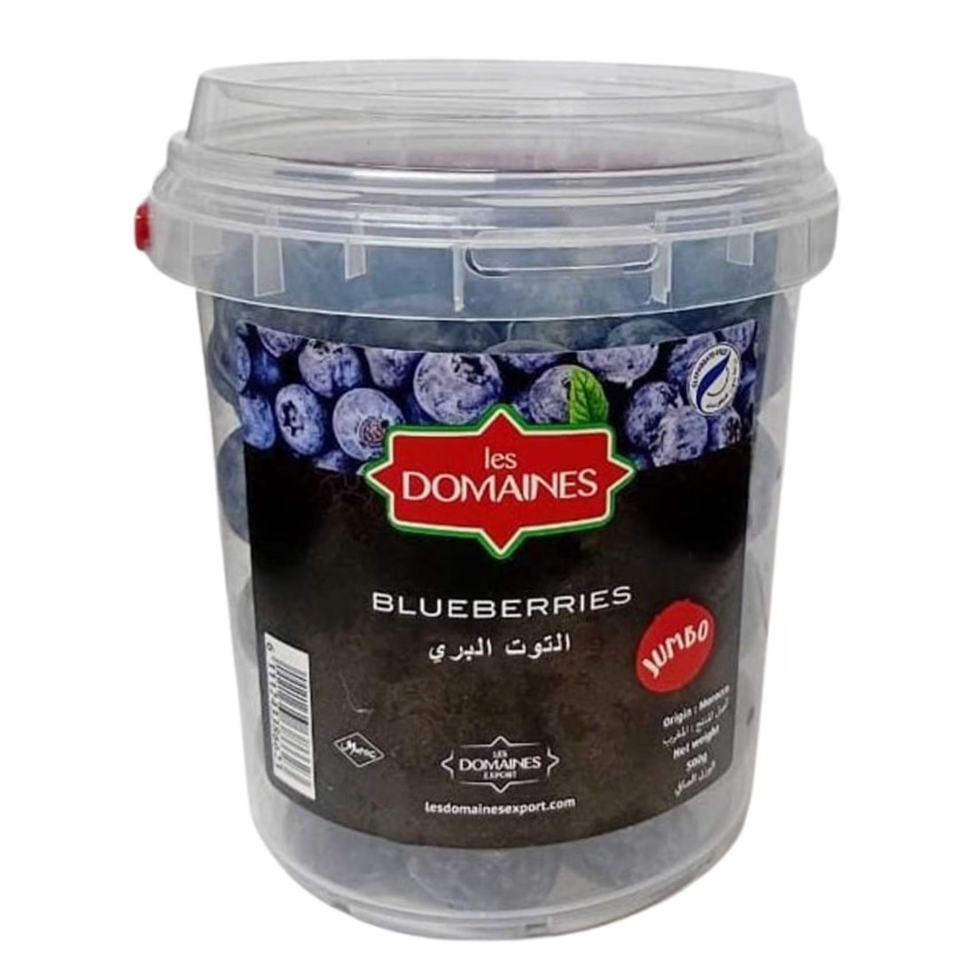 Les Domaines Blueberries