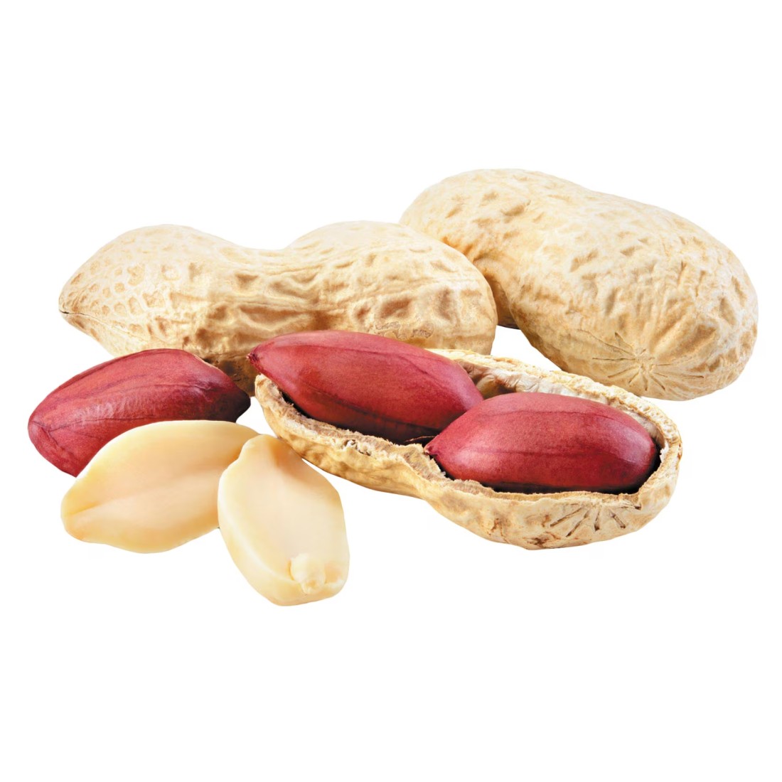 Peanut