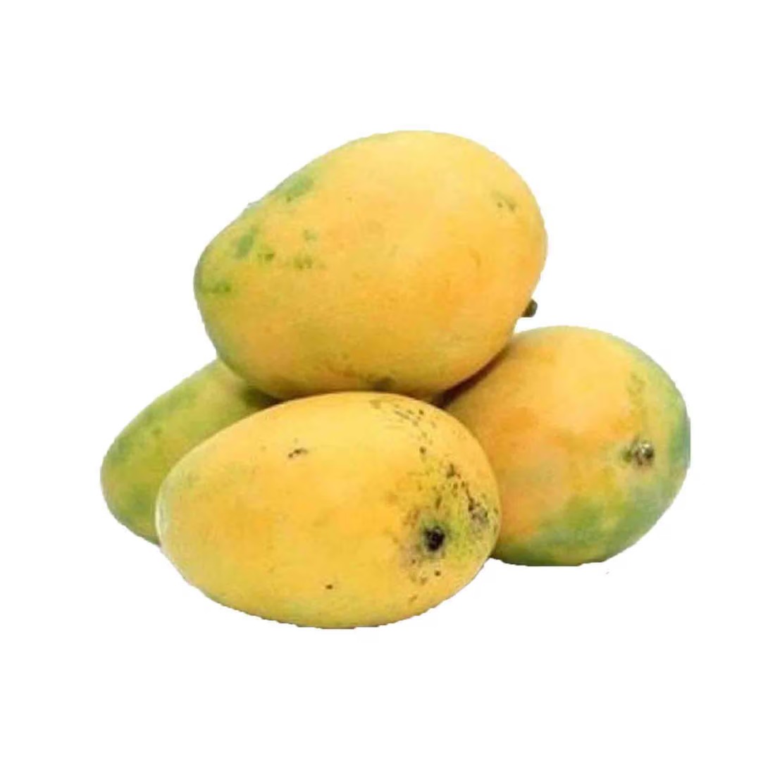 Mango Mallika