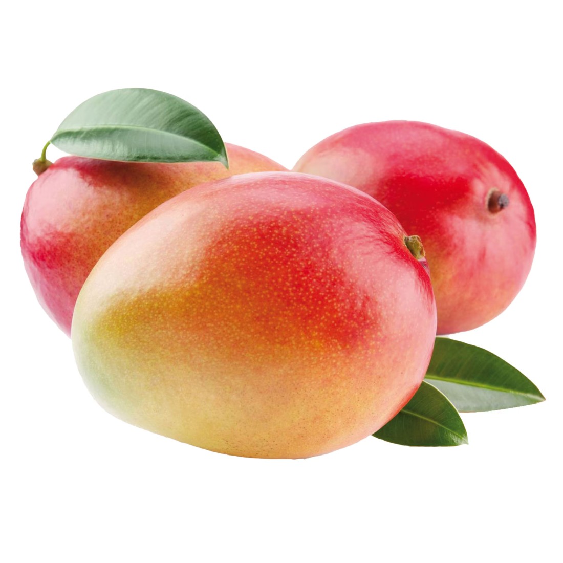 Lal Baug Mango