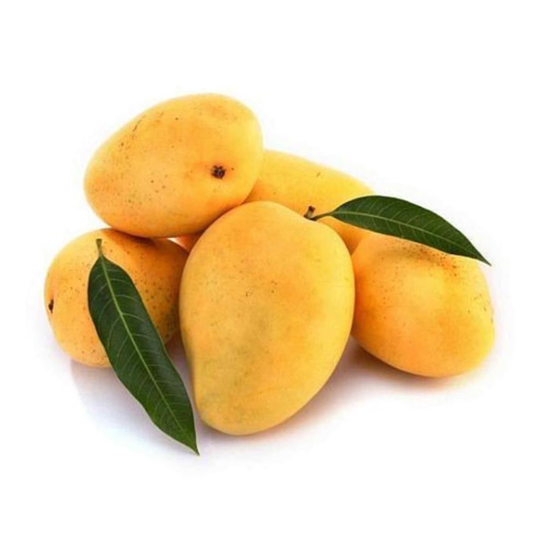 Kesar Mango