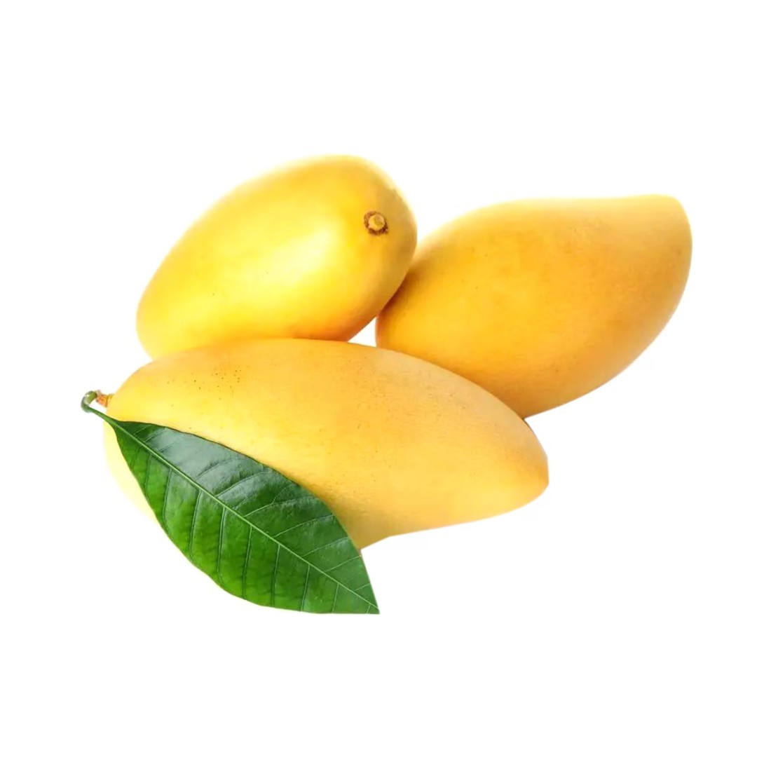 Mango Kesar Premuim