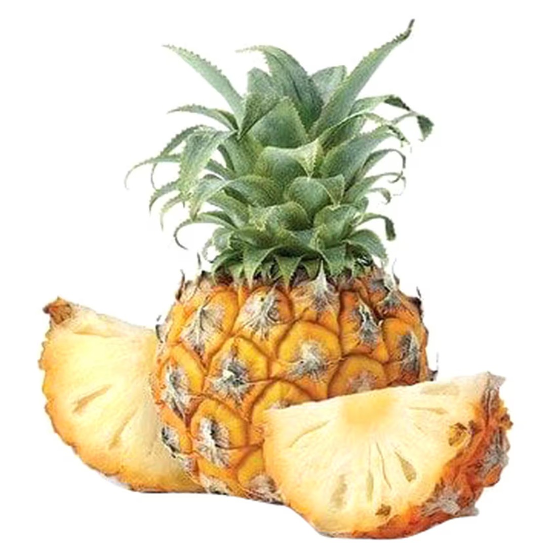 Baby Pineapple