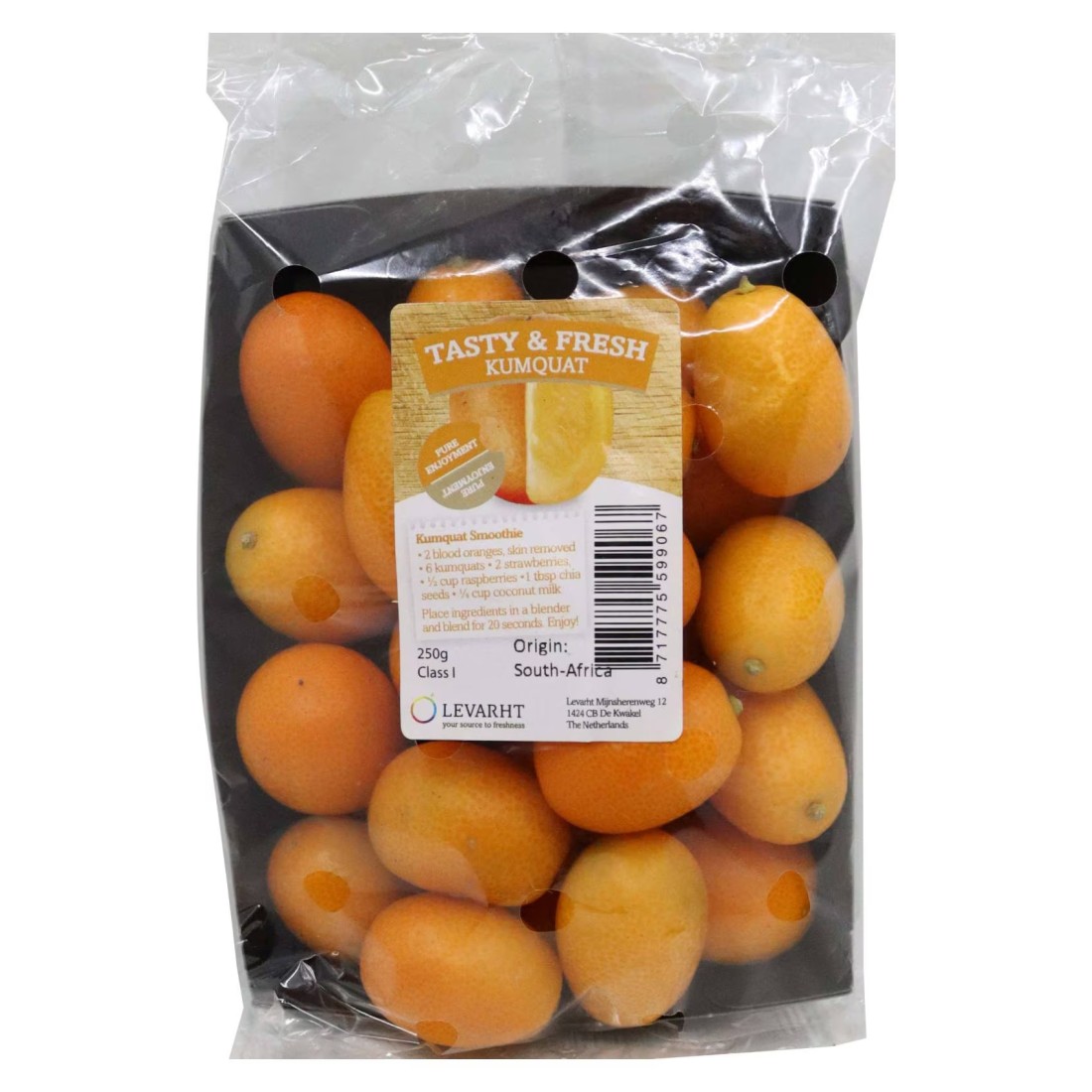 Kumquat
