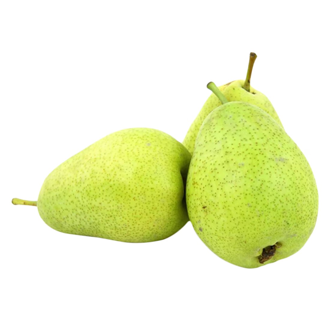 سمبر كمثرى