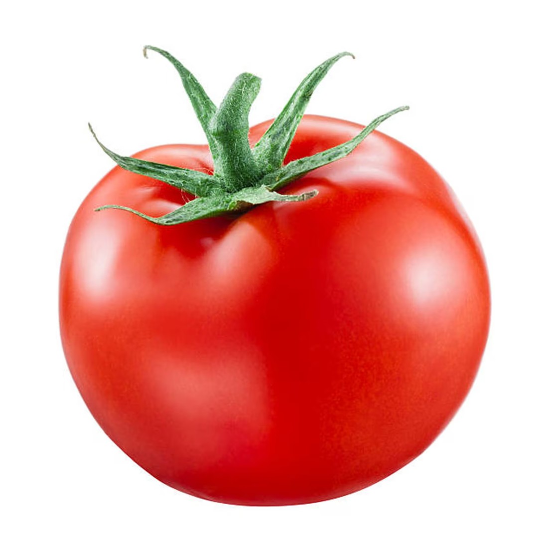 طماطم