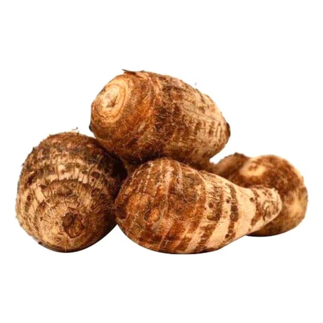 كولوكاسيا صغيرة (أرافي)