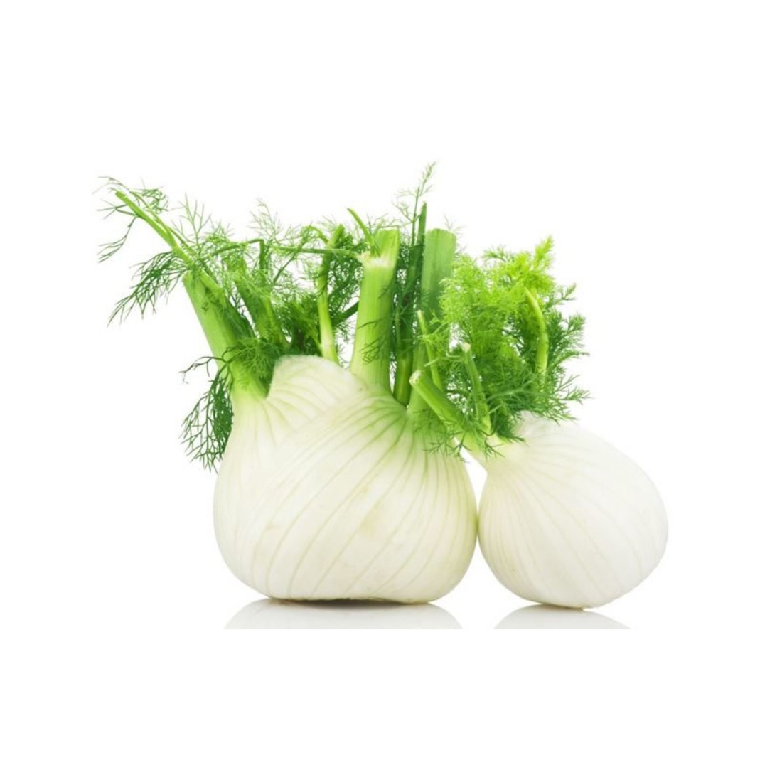 الشمر (سَاوُنف)