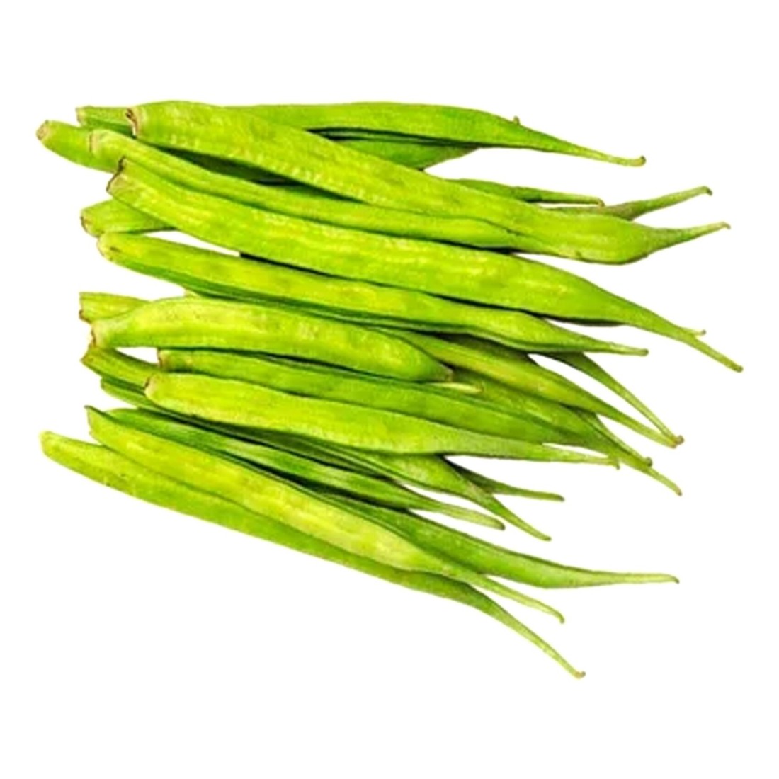فاصوليا العنقودية (غوار)
