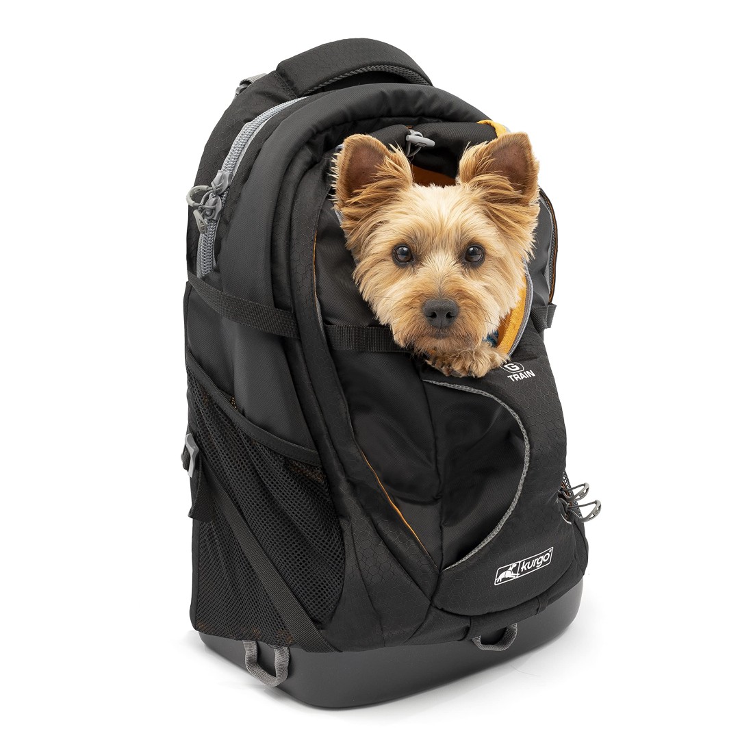 Kurgo GTrain Pack Carrier Backpack for Small Dogs and Cats Ideal for Hiking or Travel Waterproof Bottom Black